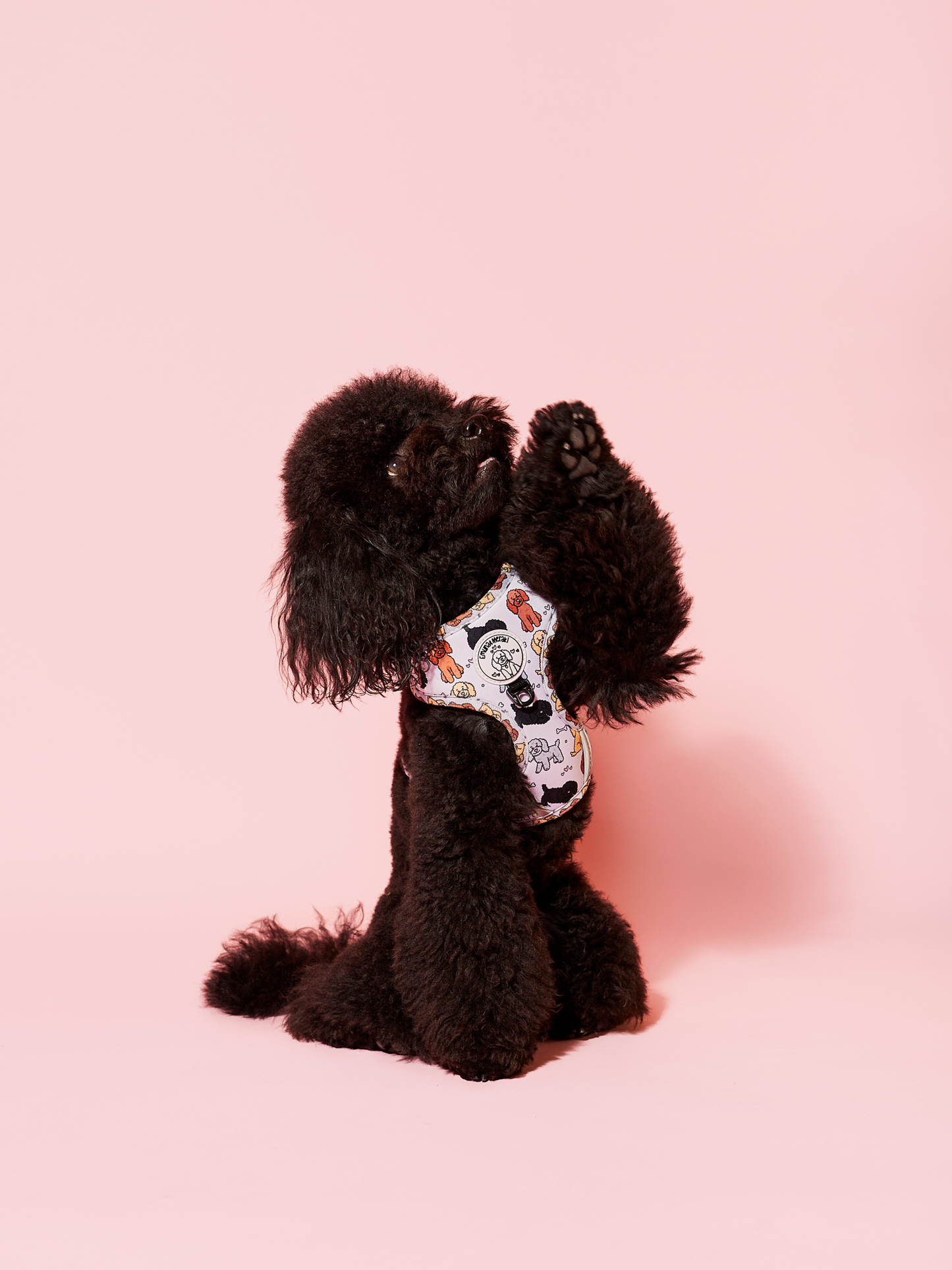 Arnés Ajustable Poodle Club