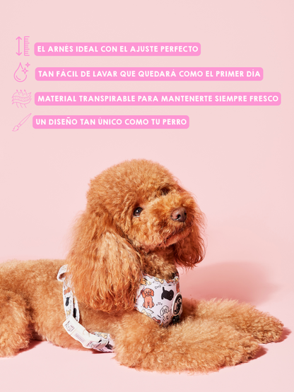 Arnés Ajustable Poodle Club