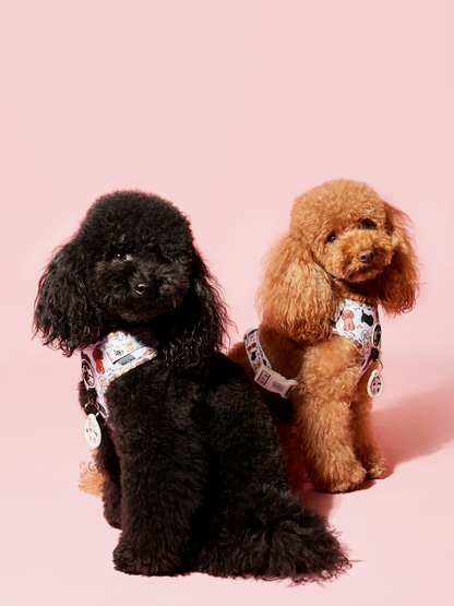 Arnés Ajustable Poodle Club