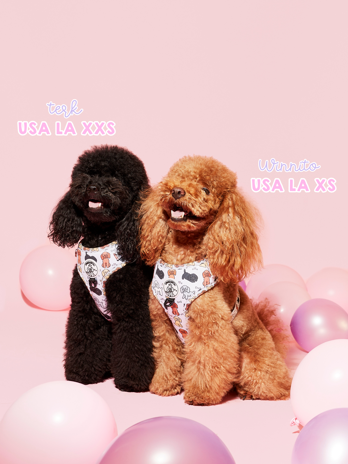 Arnés Ajustable Poodle Club