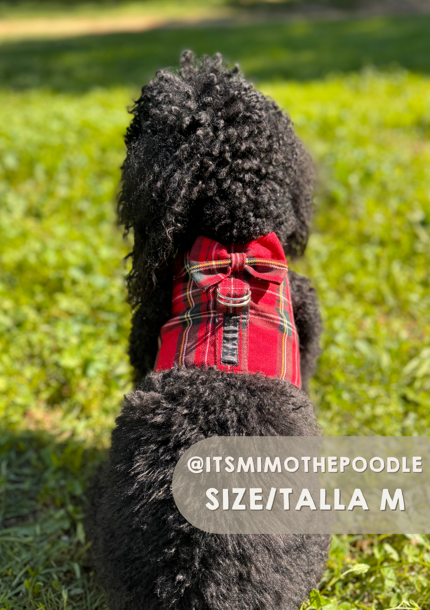 Red Tartan Vest Harness