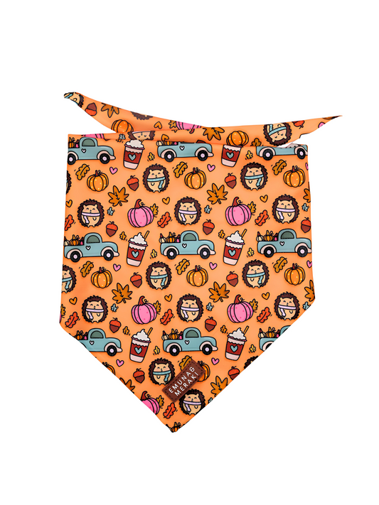 Bandana Pawpkin Harvest